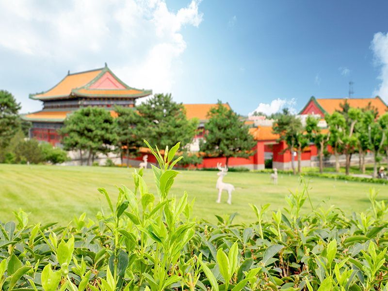 清东陵万佛园距离北京远吗(清东陵陵园有什么特点）